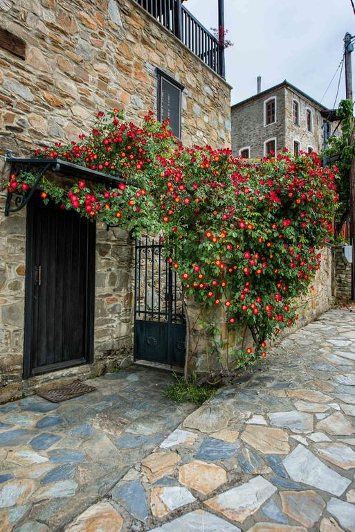 Mulberry House Villa Sithonia Kültér fotó